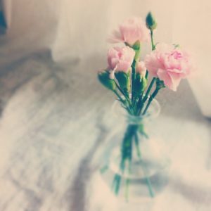 fresh flowers