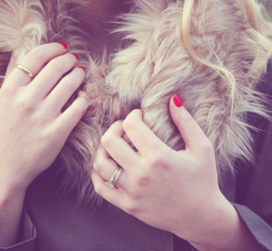 style diaries with jordan of create like crazy