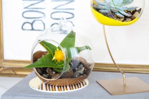 DIY colored hanging terrariums