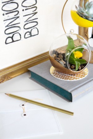DIY colored hanging terrariums