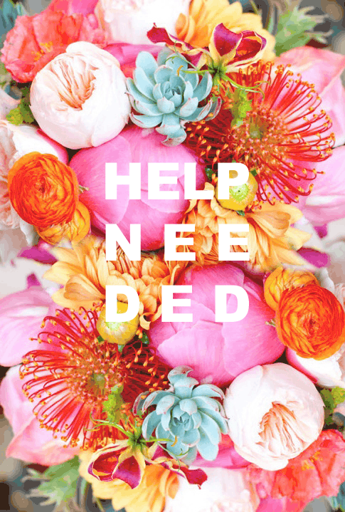 help needed