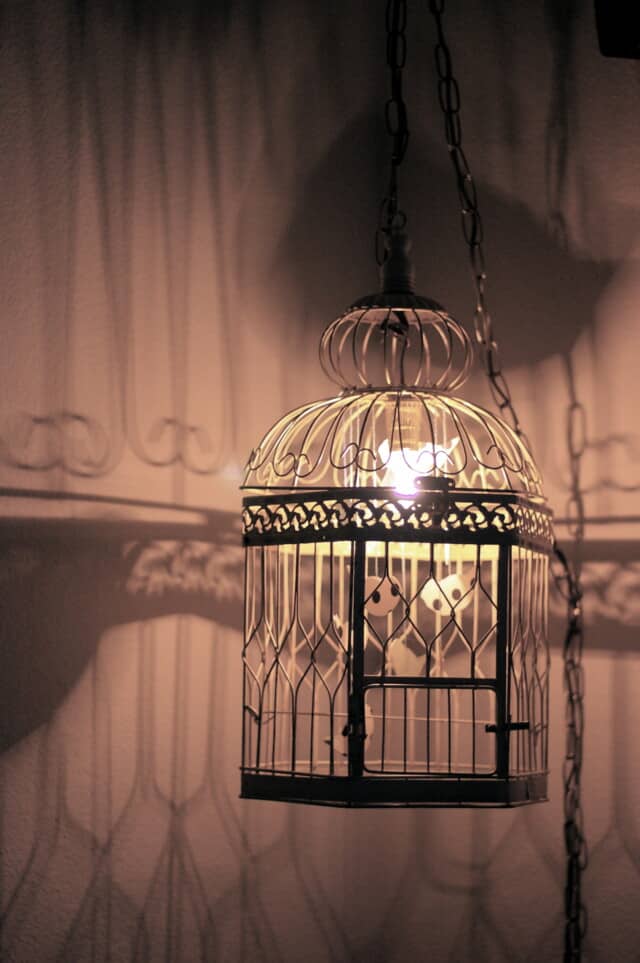 DIY Bird Cage Chandelier