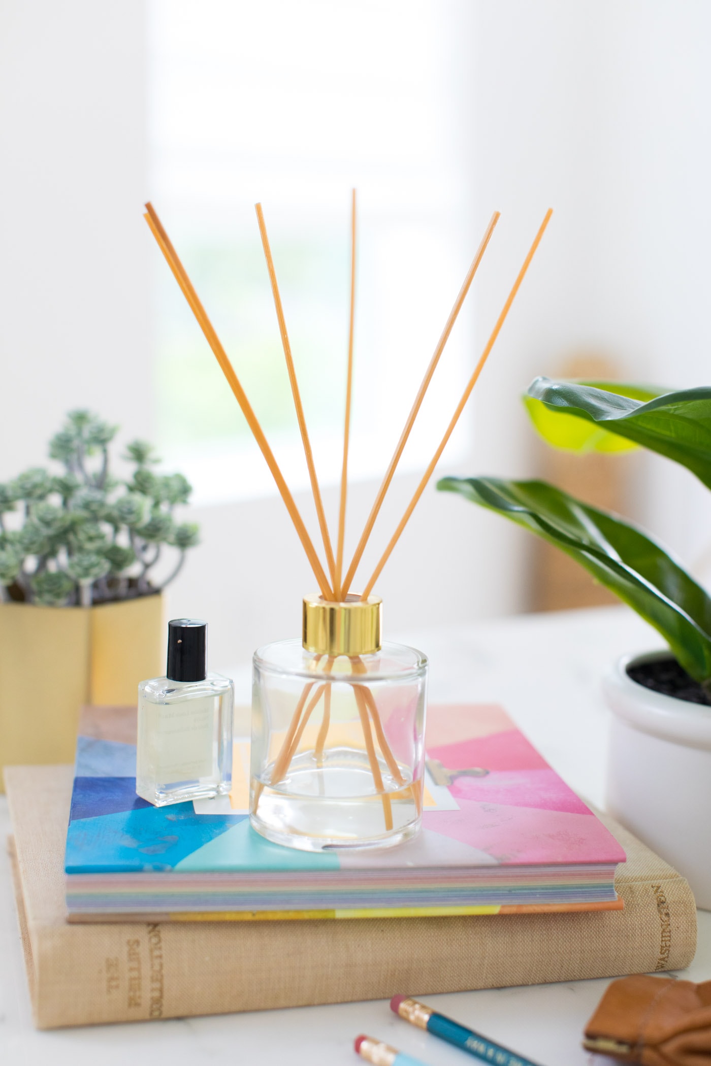 photo of a diy essential oil diffuser with reeds