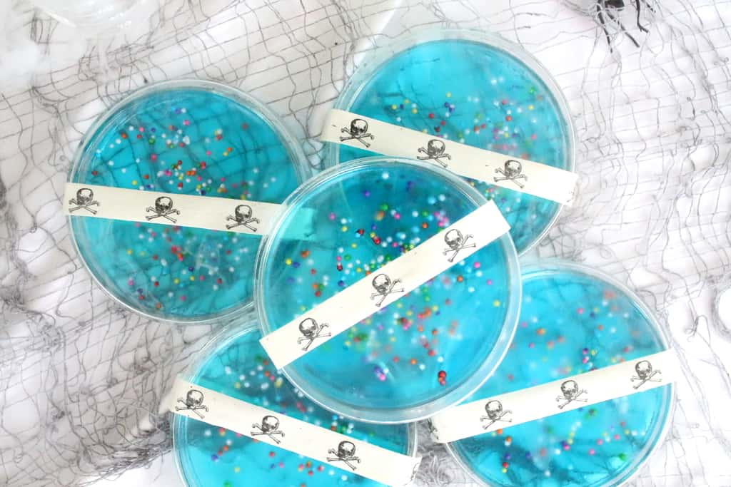 Eats: Petri Dish Jell-O - Sugar & Cloth - Houston Blogger - Holiday - Recipe 