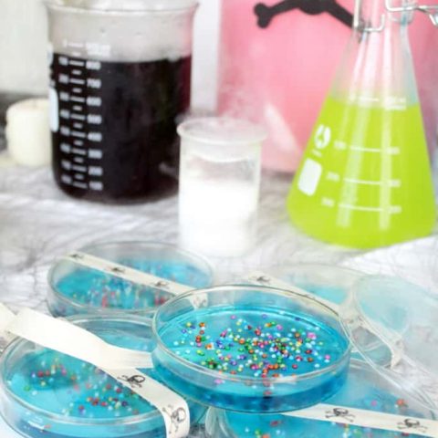 DIY Petri Dish Jello Recipe