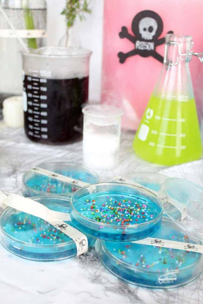 DIY Petri Dish Jello Recipe