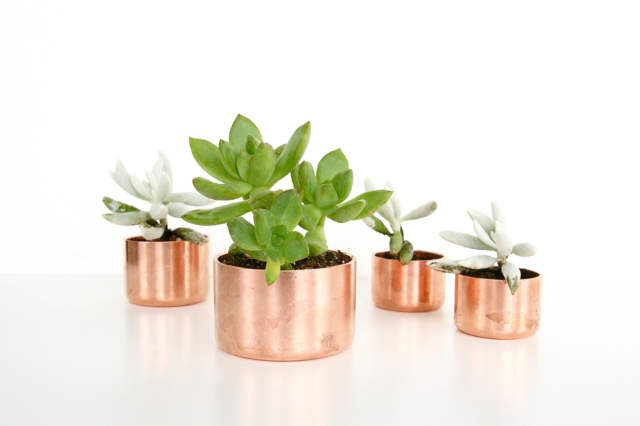 DIY Mini Copper Planters + Organizers