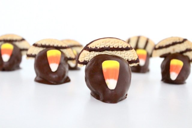 chocolate covered strawberry turkeys