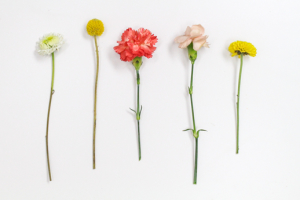 How to Make a Flower Crown - Sugar & Cloth Beauty & Style