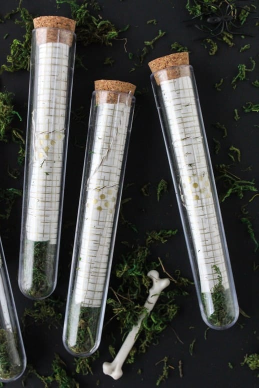 DIY Test Tube Science Party Invitations