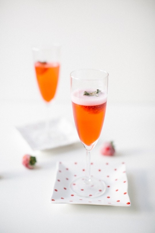 Red Currant Champagne Recipe