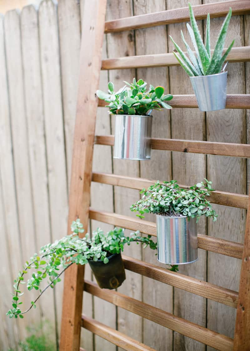 DIY Vertical Garden: An Easy Succulent Wall Planter ...