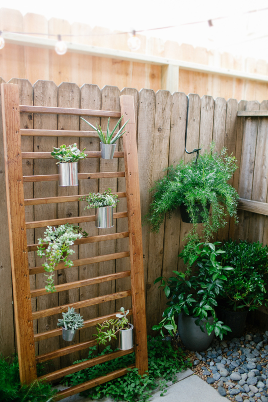 photo of a backyard area with a wooden vertical garden