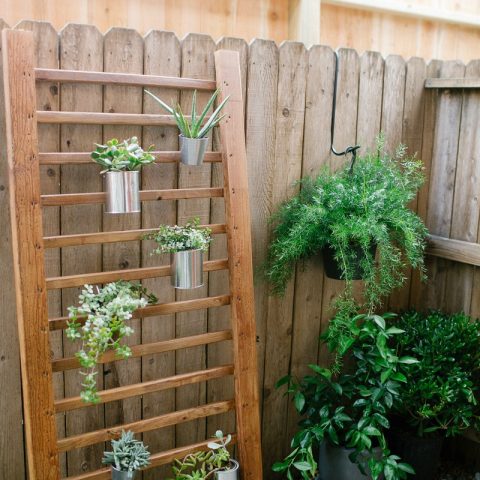 photo of a wooden handrail as a DIY vertical garden