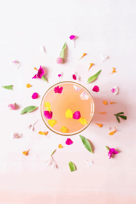 Floral Rose Champagne Cocktail Recipe