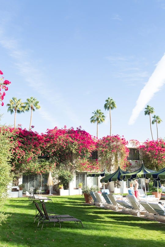places to see, eat, and shop in LA and Palm Springs | sugarandcloth.com