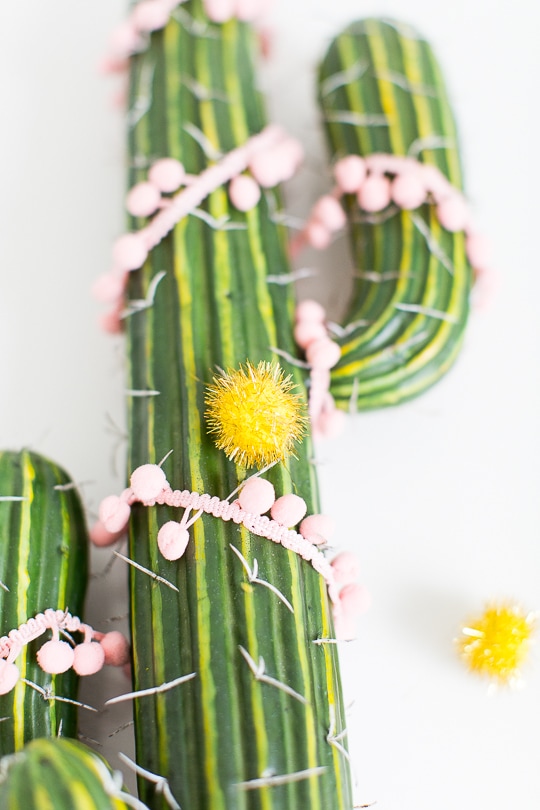 photo of supplies for decorating a cactus by sugar and cloth