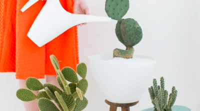 DIY mid century planters | sugar & cloth