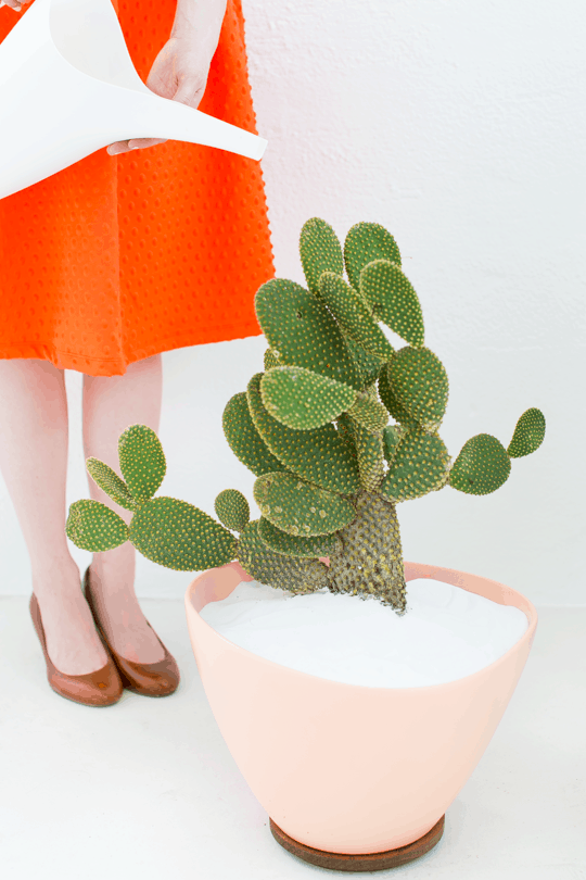 DIY Mid Century Planters by Top Houston Lifestyle Blogger Ashley Rose of Sugar & Cloth - #midcentury #planter #plantlady #cactus #simple #easy #budgetfriendly #diy #diydecor #plantmom #pastel #ikea #modern #moderndiy