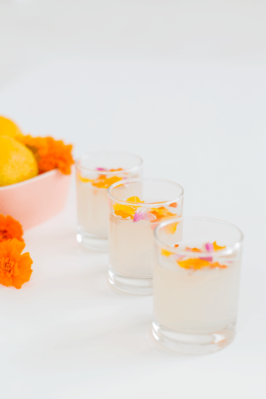 Edible Flower Lemon Jello Recipe