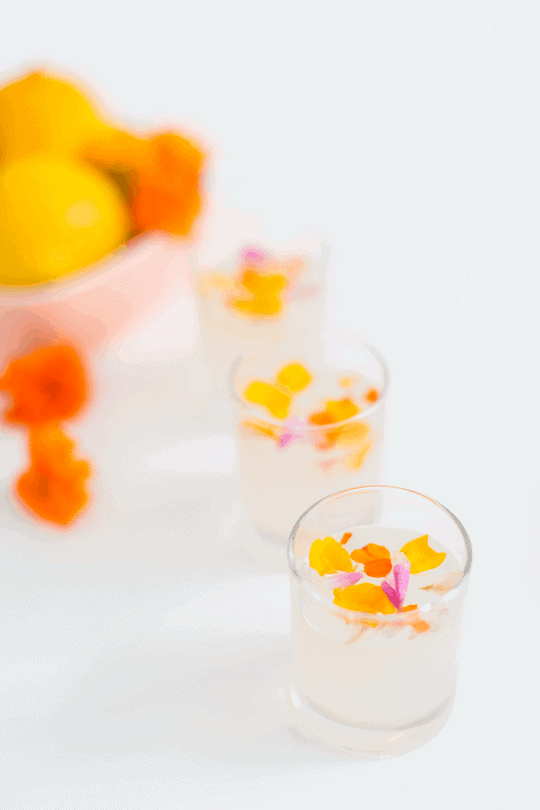 Edible Flower Lemon Jello Shots Recipe