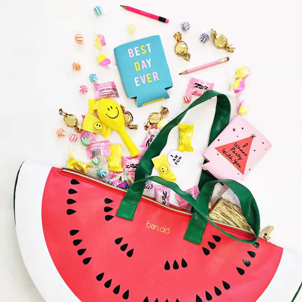 watermelon cooler bag