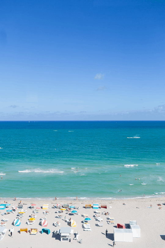 What to do with 24 hours in Miami