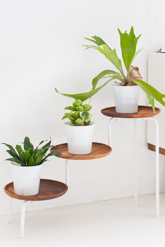 DIY Acacia Wood Plant Stand by Top Houston Lifestyle Blogger Ashley Rose #modern #acacia #wood #plant #plantmom #diy #homedecor #indoor #acaciawood