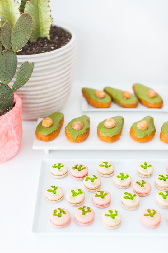 a cactus inspired brunch party | sugar & cloth