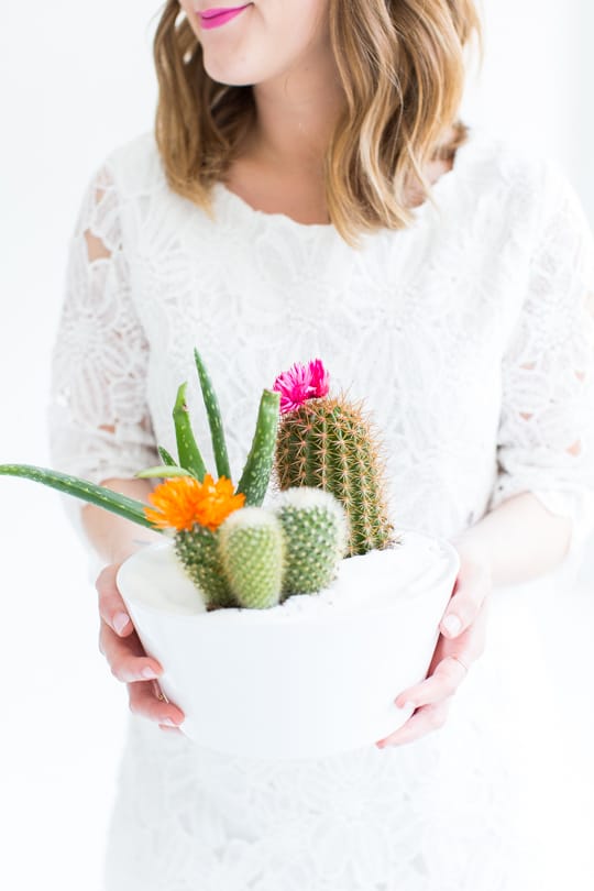 a cactus inspired brunch party | sugar & cloth