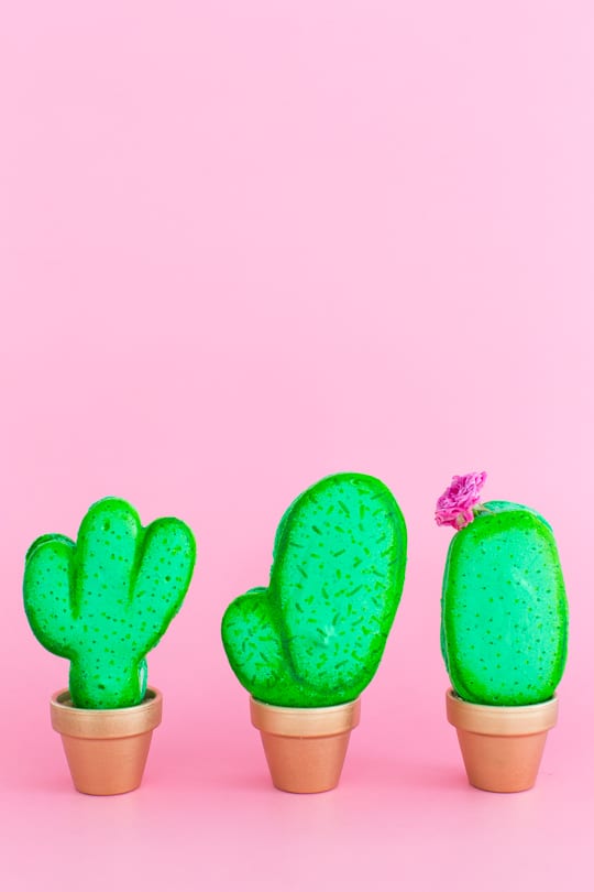 DIY potted cactus macarons | sugar & cloth