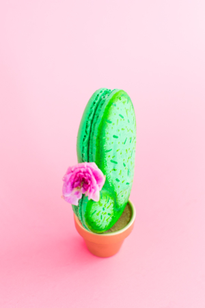 How To Make A Diy Potted Cactus Macarons Sugar Cloth