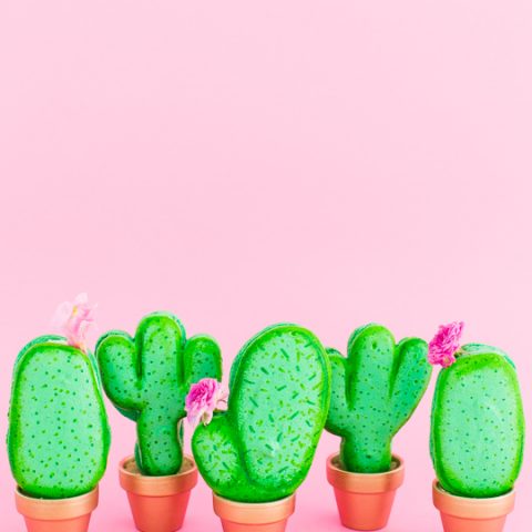 DIY potted cactus macarons | by top Houston lifestyle blogger Ashley Rose of Sugar & Cloth