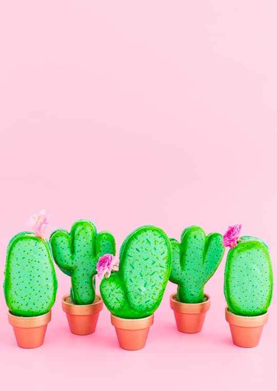 DIY potted cactus macarons | sugar & cloth