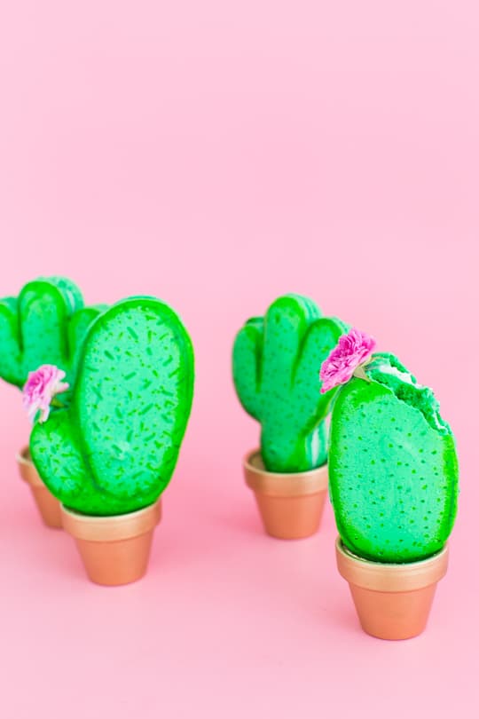 DIY potted cactus macarons | sugar & cloth