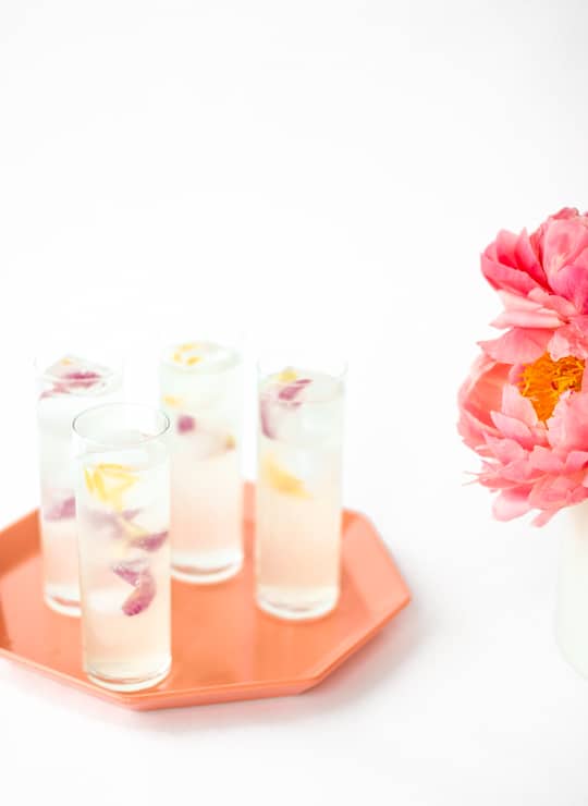 Spring fling cocktail recipe with peony ice cubes | sugar & cloth