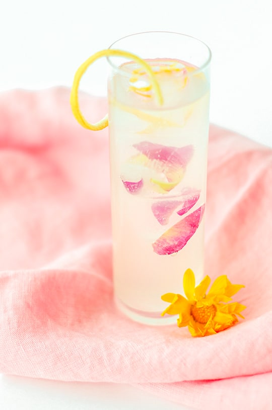 Spring fling cocktail recipe with peony ice cubes | sugar & cloth