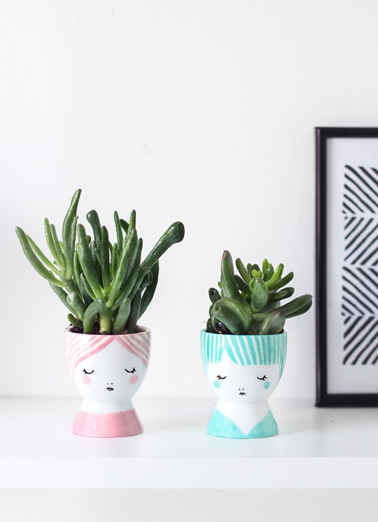 DIY Mini Face Planters