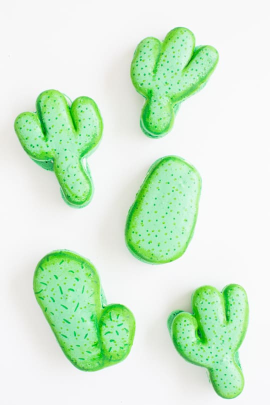 DIY potted cactus macarons | sugar & cloth