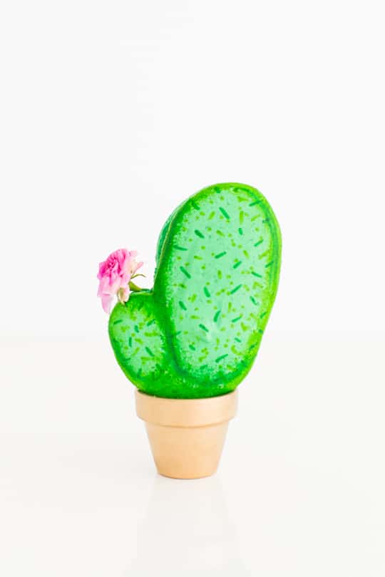 DIY potted cactus macarons | sugar & cloth