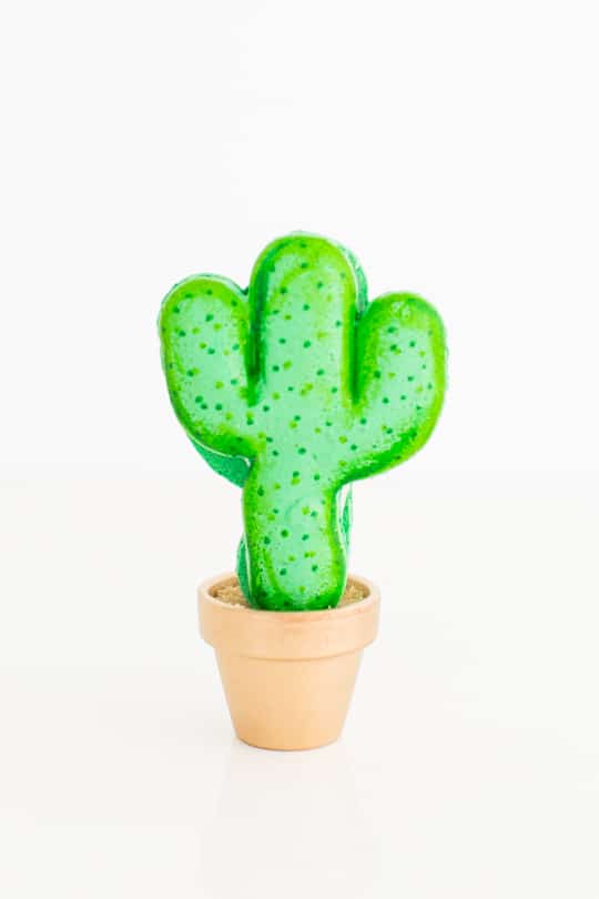 DIY potted cactus macarons | sugar & cloth