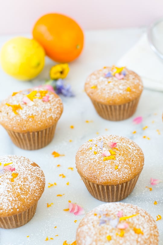 lemon orange olive cupcake recipe - sugar & cloth