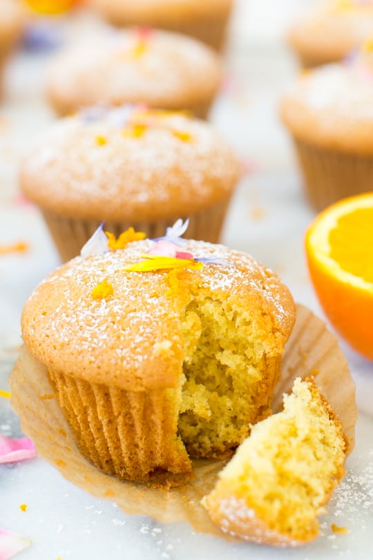 lemon orange olive cupcake recipe - sugar & cloth