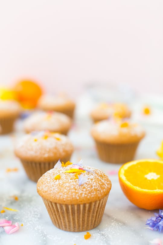 lemon orange olive cupcake recipe - sugar & cloth