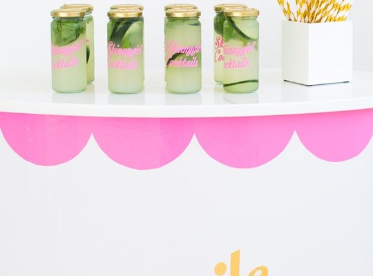 Skinnygirl Cocktails and Sugar & Cloth DIY Event - Houston Recap