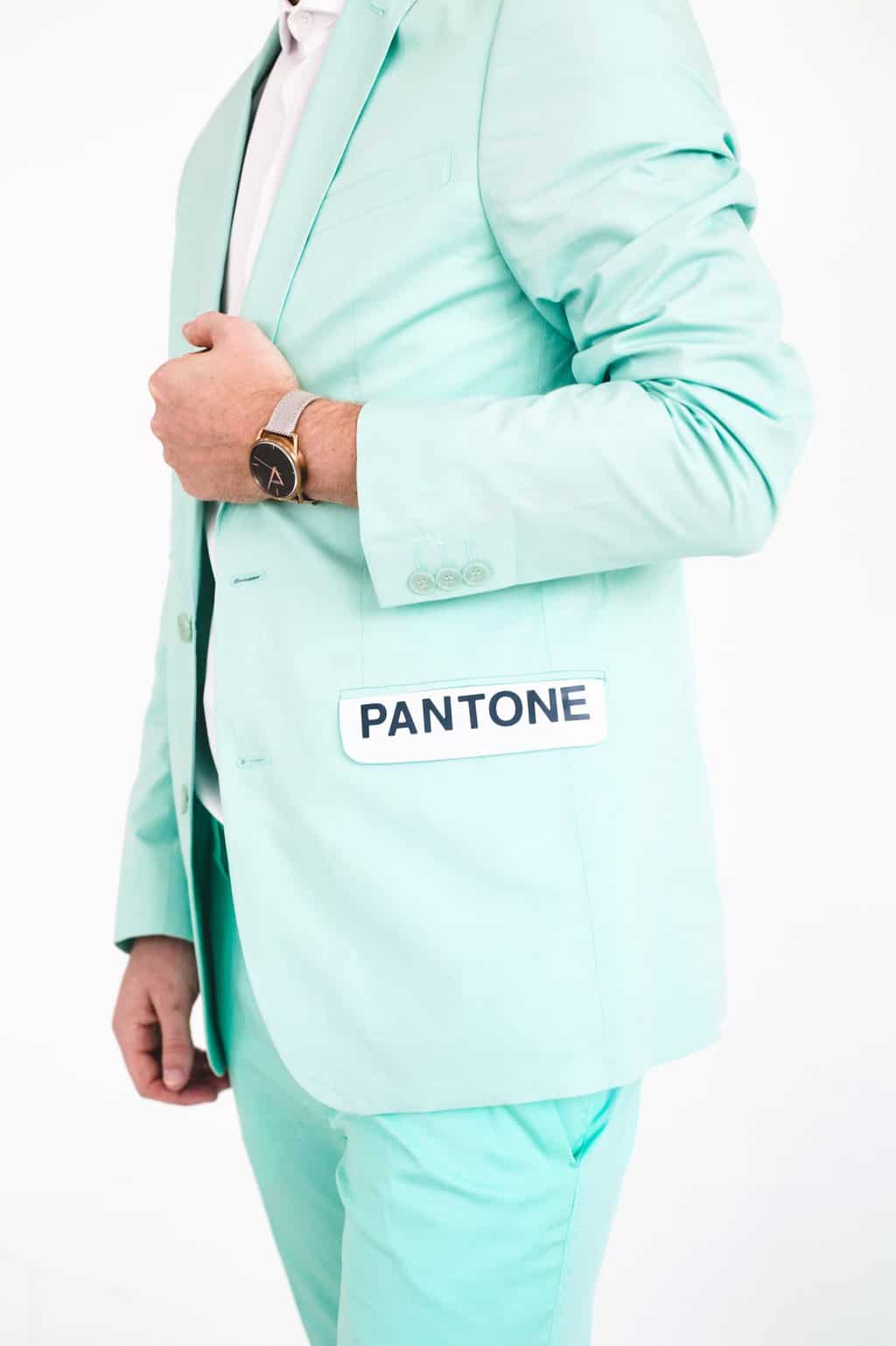 Men's Halloween Costume Idea Pantone Colors
