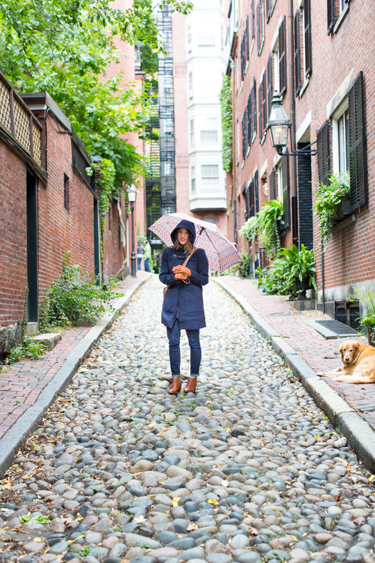 Instagrammable Guide To Boston: 48 Hours for Photos in Boston