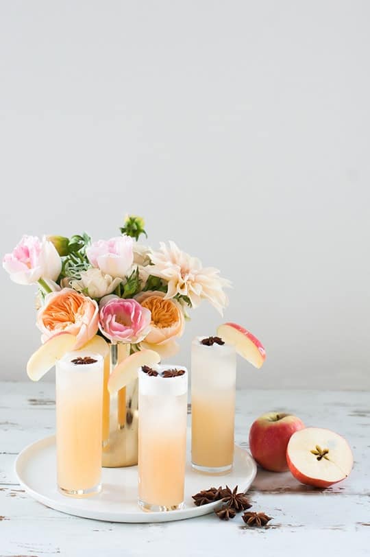 Apple Brandy Allspice Fizz Cocktail Recipe - sugar and cloth - entraining cocktails by Houston Blogger Ashley Rose #cocktail #drink #fizz #apple #brandy #allspice #applebandy #holiday #recipe