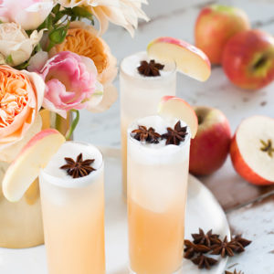 apple brandy allspice fizz cocktail recipe - sugar and cloth