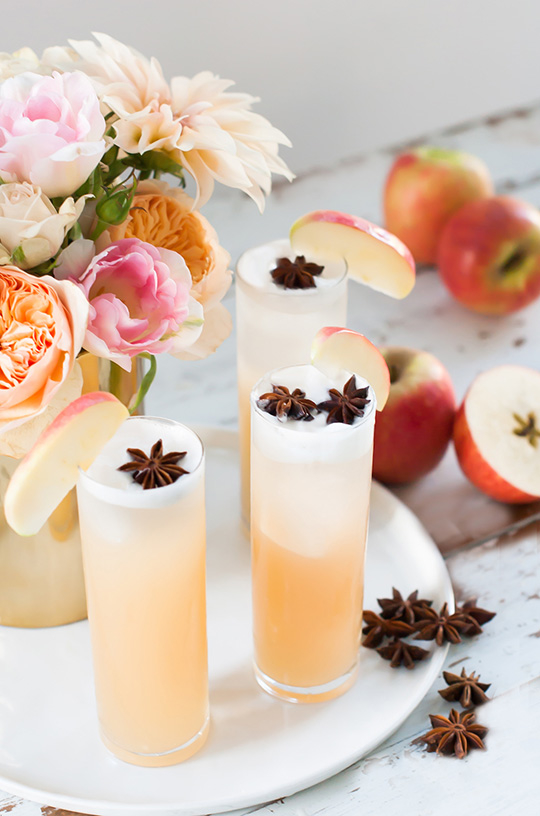 apple brandy allspice fizz cocktail recipe - sugar and cloth